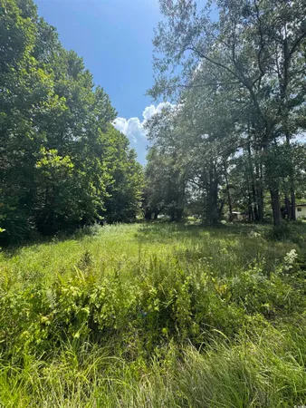 $340,000 | Tbd Society Drive, Conway, SC 29527