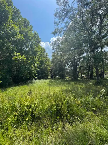 $360,000 | Tbd Society Drive, Conway, SC 29527