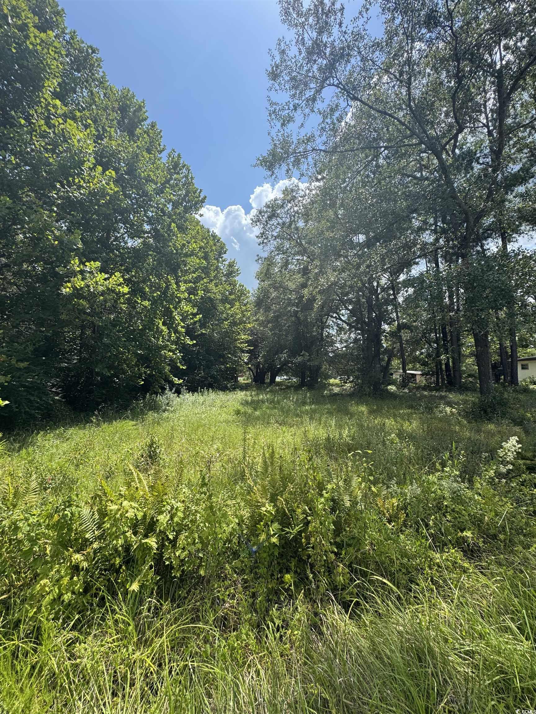 Tbd Society Drive Conway, SC 29527 - Photo 6 of 8