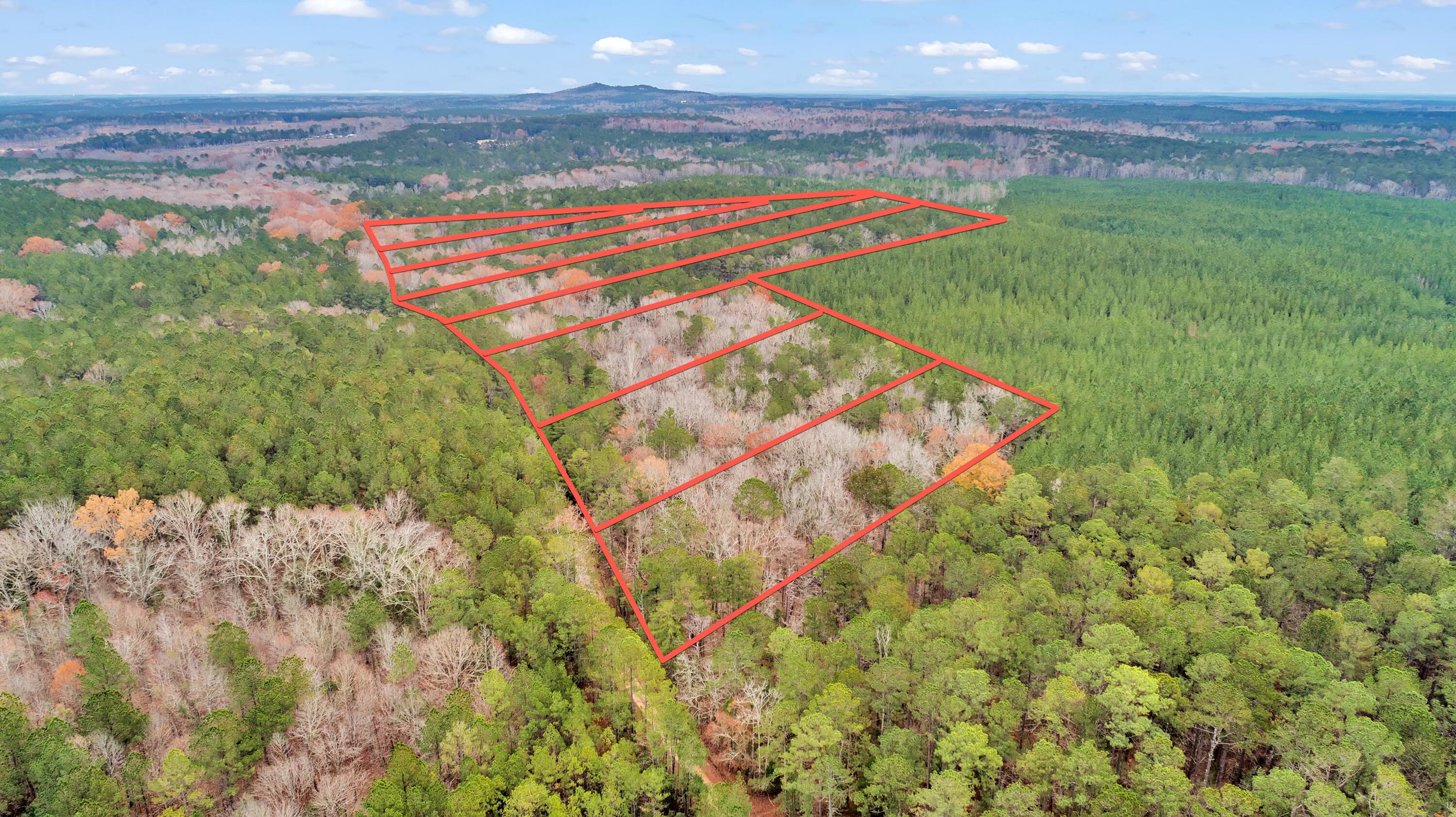 Lot 8 Saggus Road Washington, GA 30673 - Photo 35 of 42 Saggus Rd land 121-007A, 400ft View, Dro