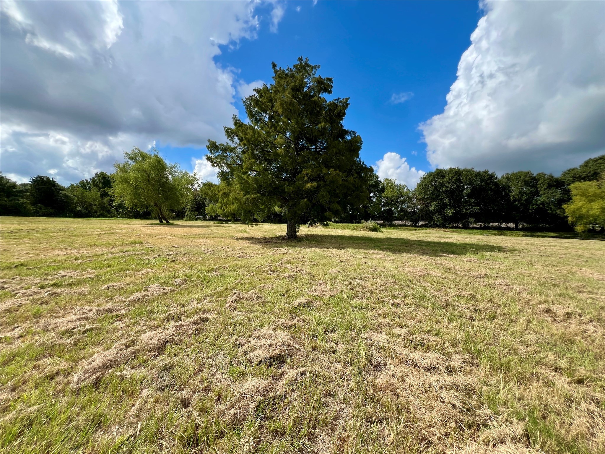 a view of outdoor space with swimming pool and trees in the background