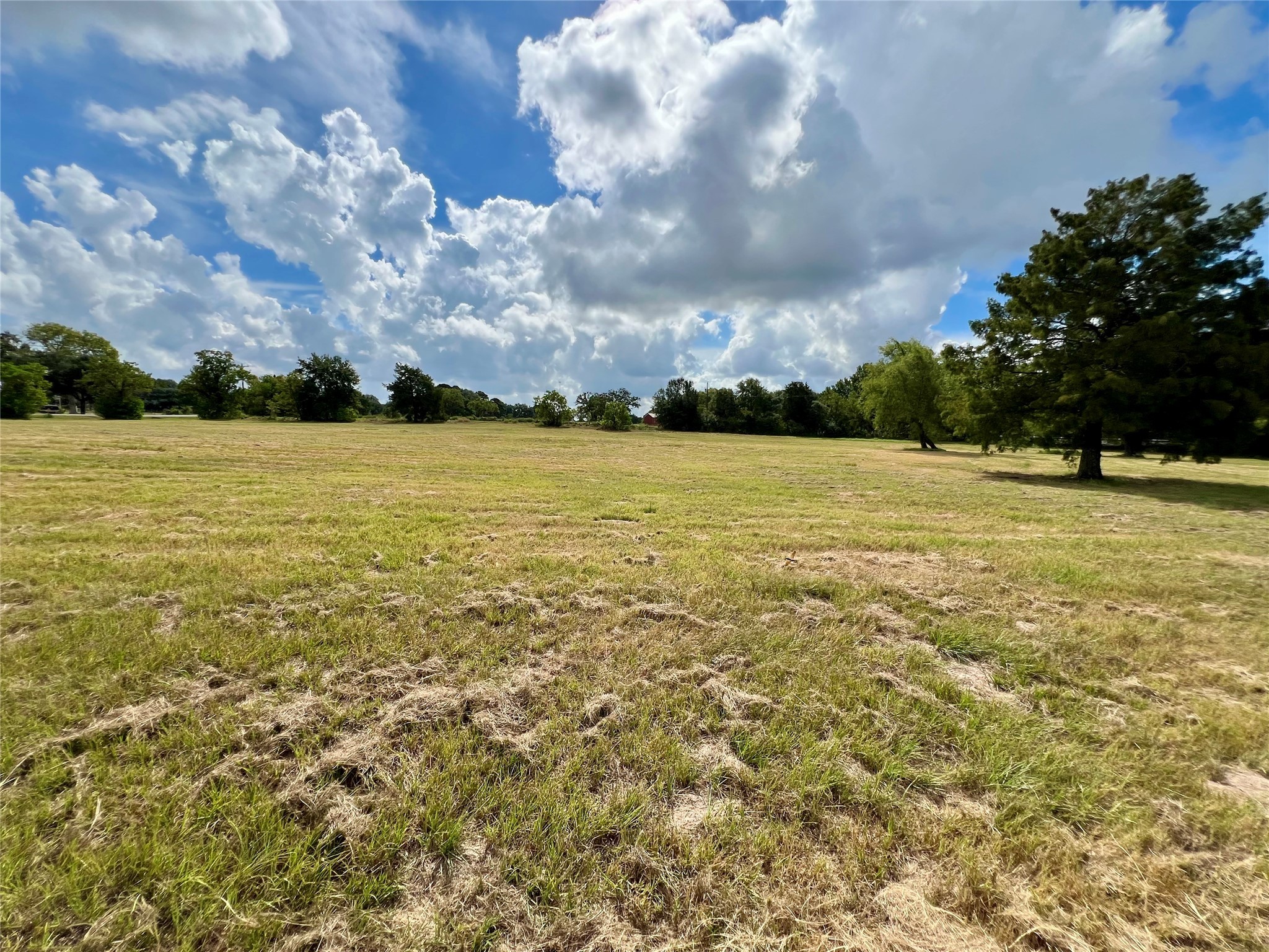 1195 B Track Road New Ulm, TX 78950 - Photo 14 of 18 a view of an ocean