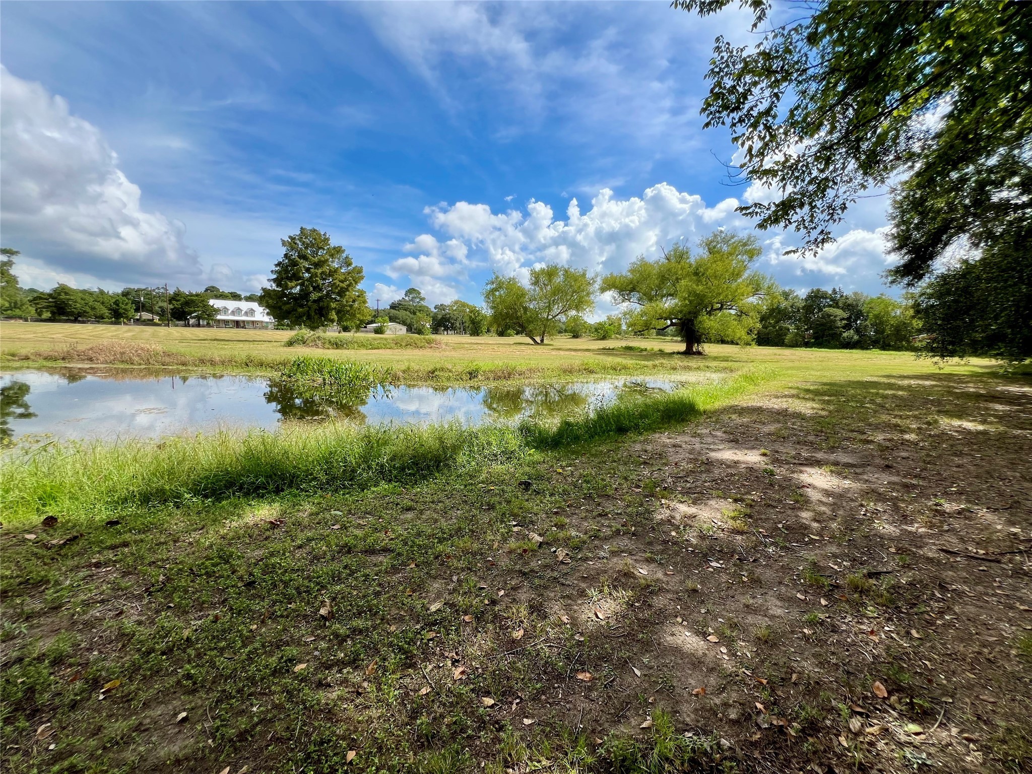 1195 B Track Road New Ulm, TX 78950 - Photo 4 of 18 a view of a garden with an outdoor space