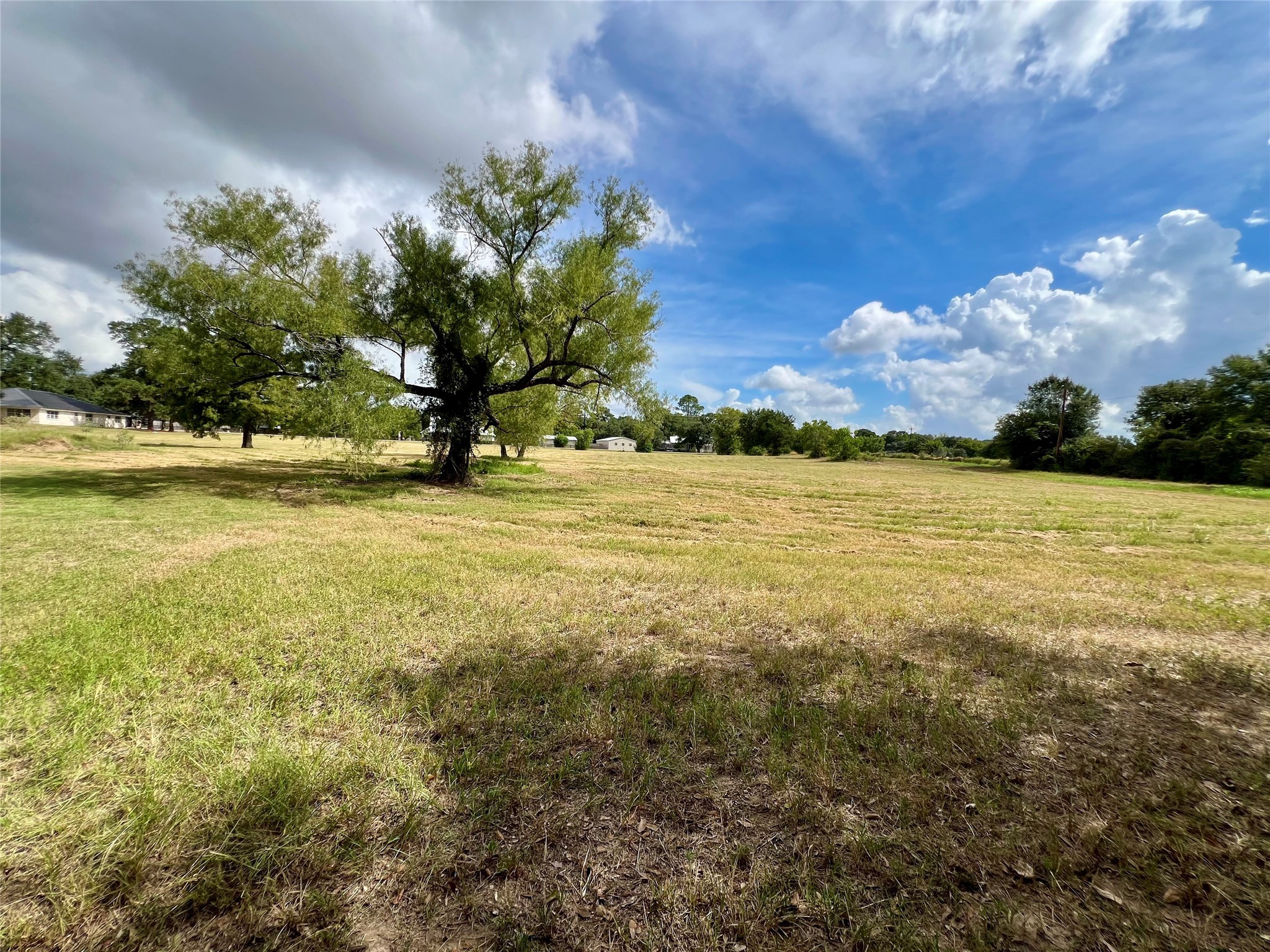 1195 B Track Road New Ulm, TX 78950 - Photo 8 of 18 a view of a lake view