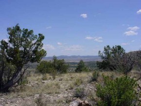 700 Svr Seligman, AZ 86337 - Photo 1 of 6 a view of a field with trees in background