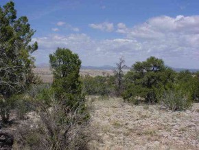 700 Svr Seligman, AZ 86337 - Photo 6 of 6 a view of a yard
