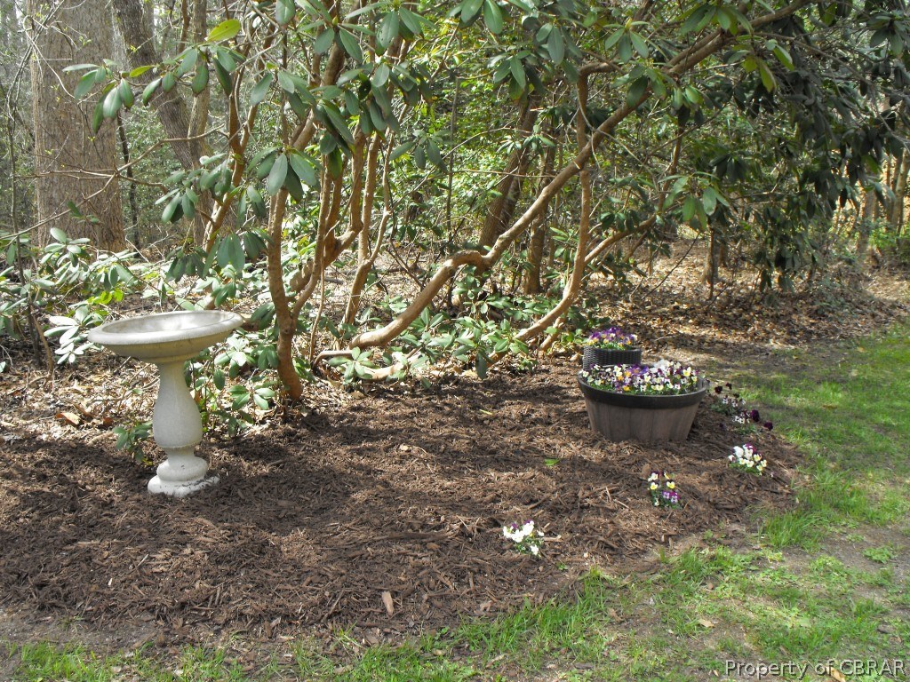 4706 Chestnut Fork Road Gloucester, VA 23061 - Photo 10 of 33 Gallery Image 10