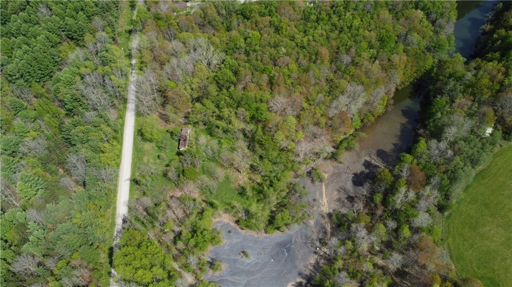 258 West Allen Road Polk, PA 16342 - Photo 6 of 19 a view of a forest with a tree