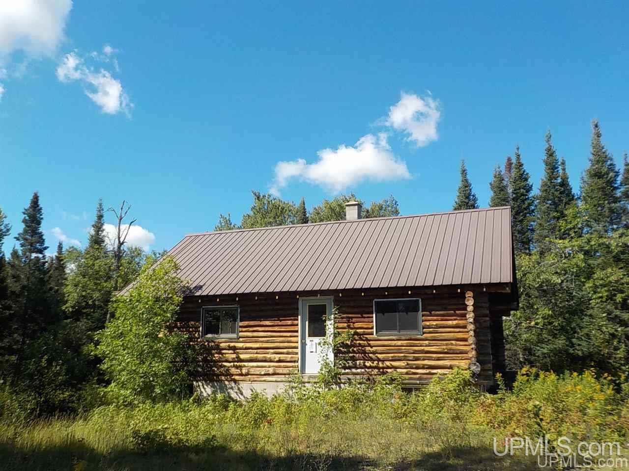 Tbd Parks Farm Road Iron River, MI 49920 - Photo 1 of 31