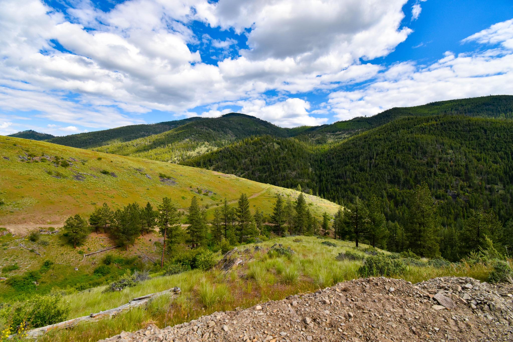 2 Henry Creek Road Plains, MT 59859 - Photo 31 of 40 Gallery Image 31