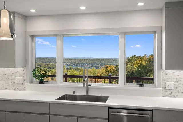 a sink with a potted plant on top of it