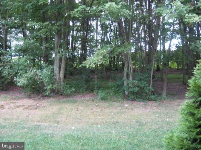 563 Leeds Road Elkton, MD 21921 - Photo 20 of 23 Exterior #4