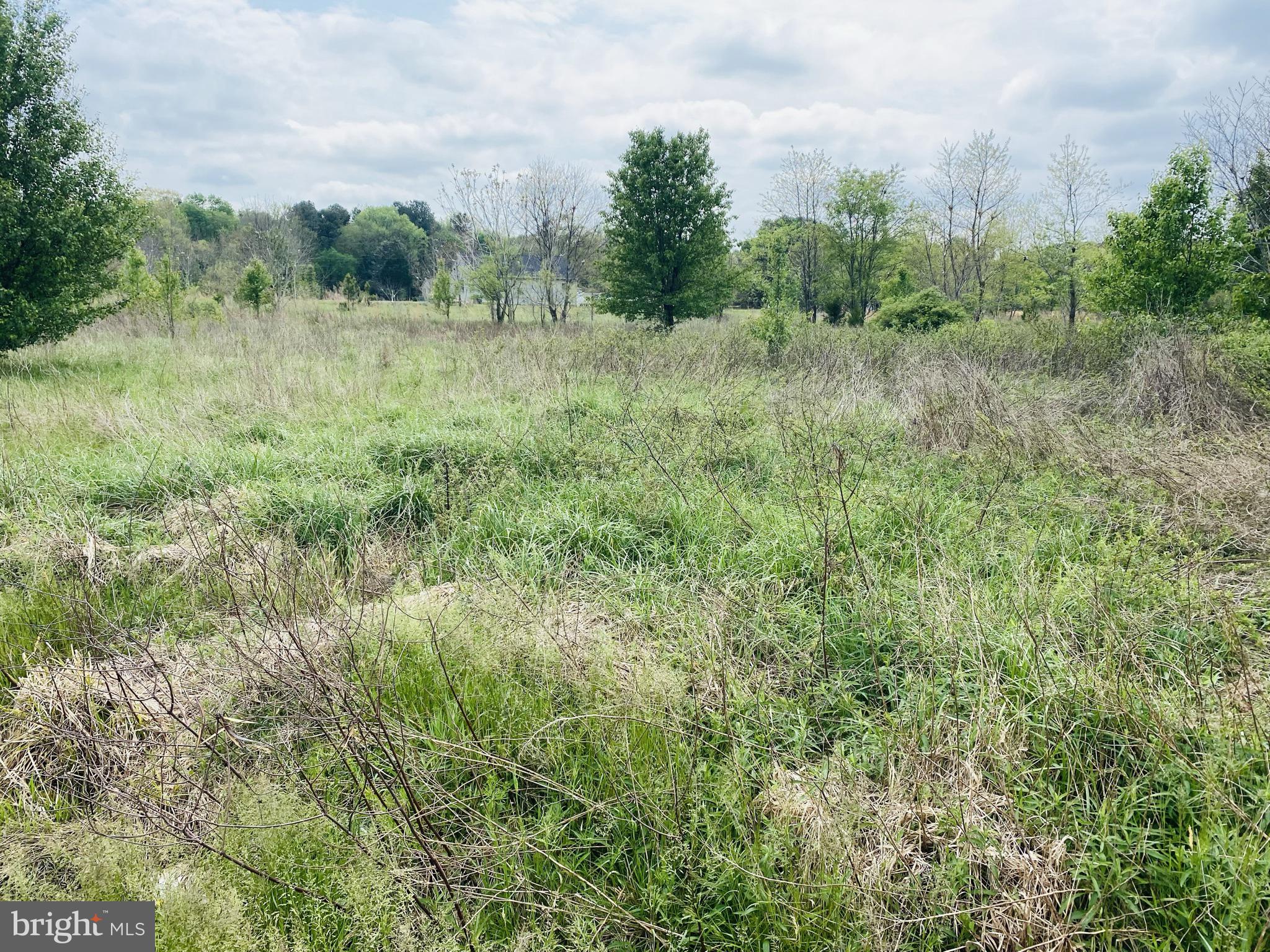 Old Fruitland Road Salisbury, MD 21804 - Photo 12 of 19