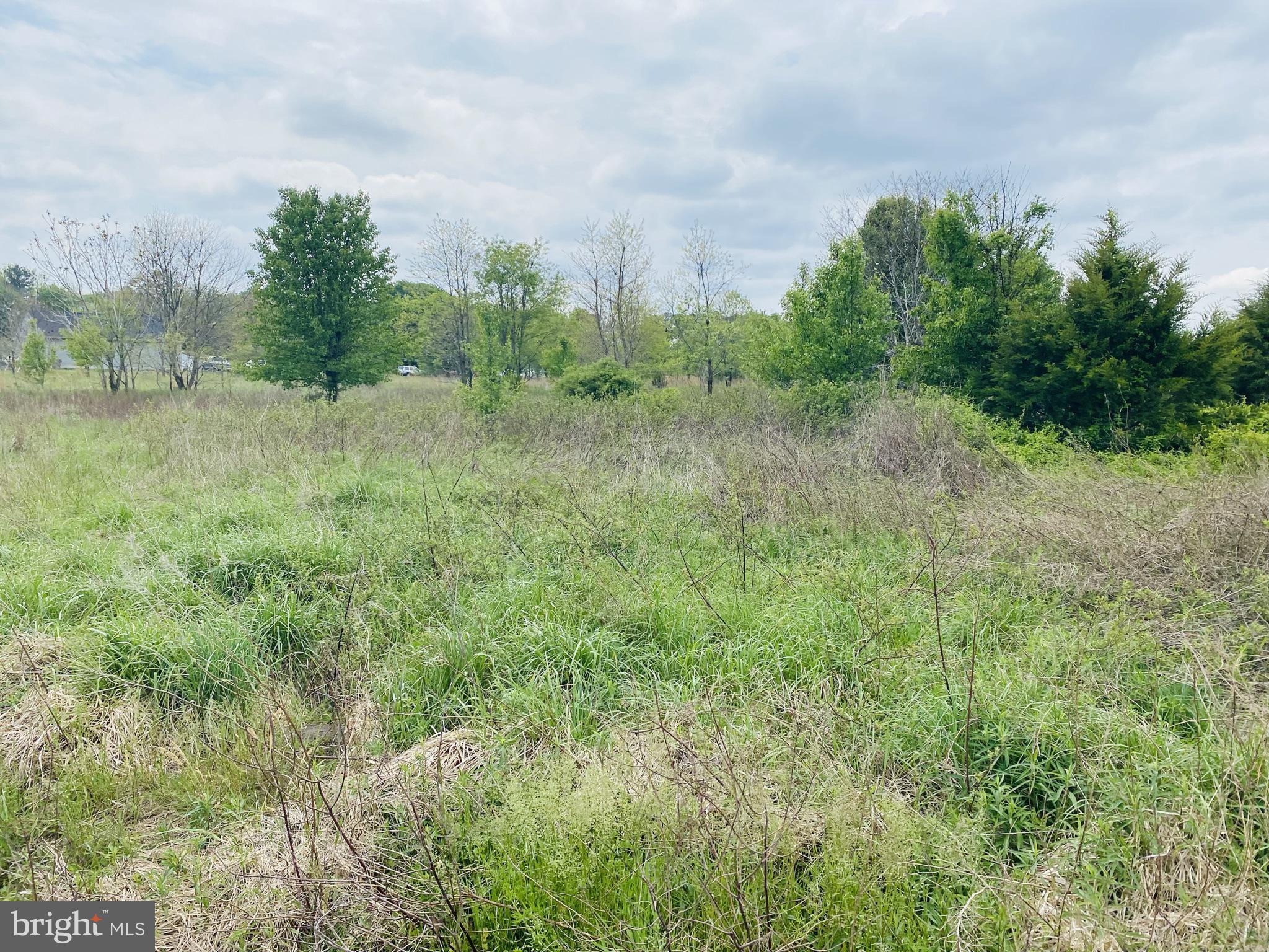 Old Fruitland Road Salisbury, MD 21804 - Photo 13 of 19