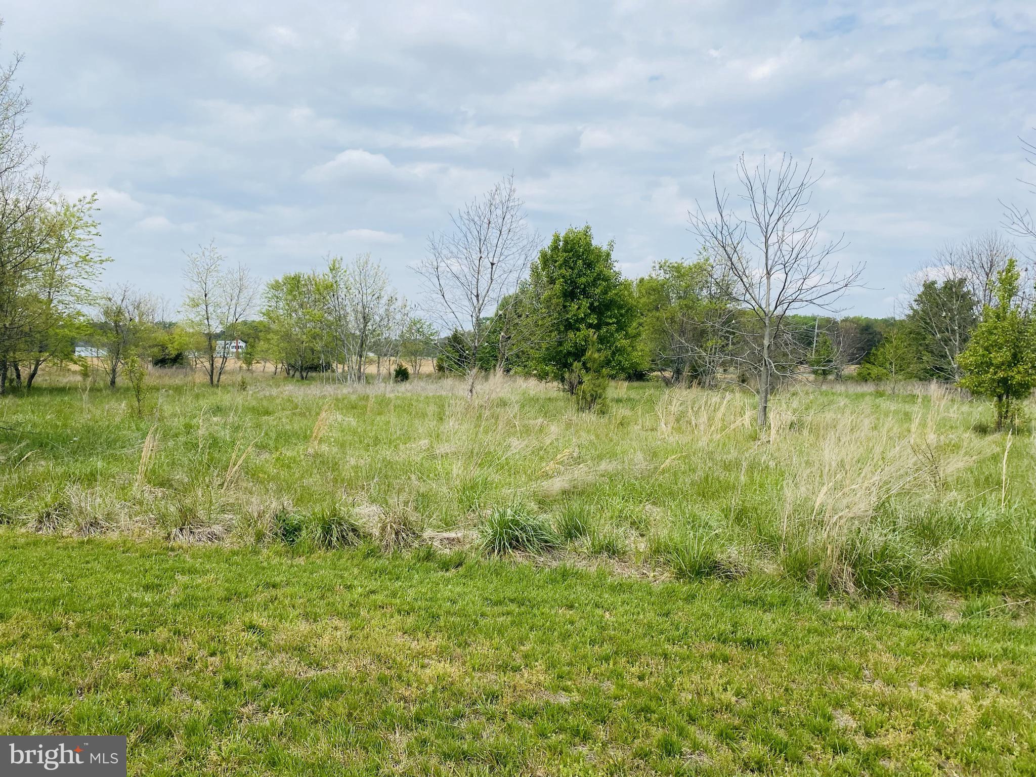 Old Fruitland Road Salisbury, MD 21804 - Photo 14 of 19