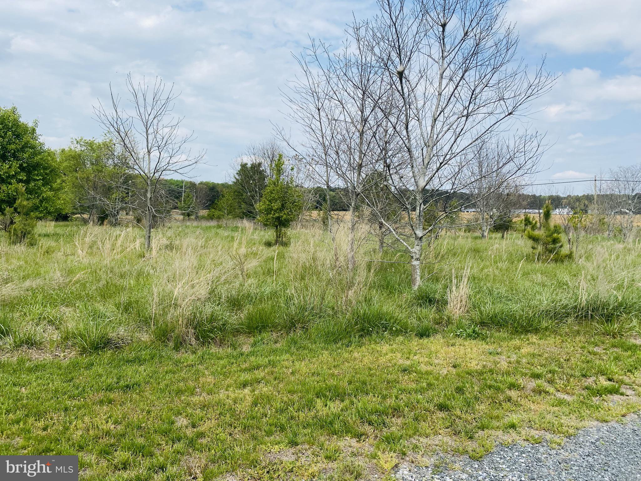 Old Fruitland Road Salisbury, MD 21804 - Photo 15 of 19