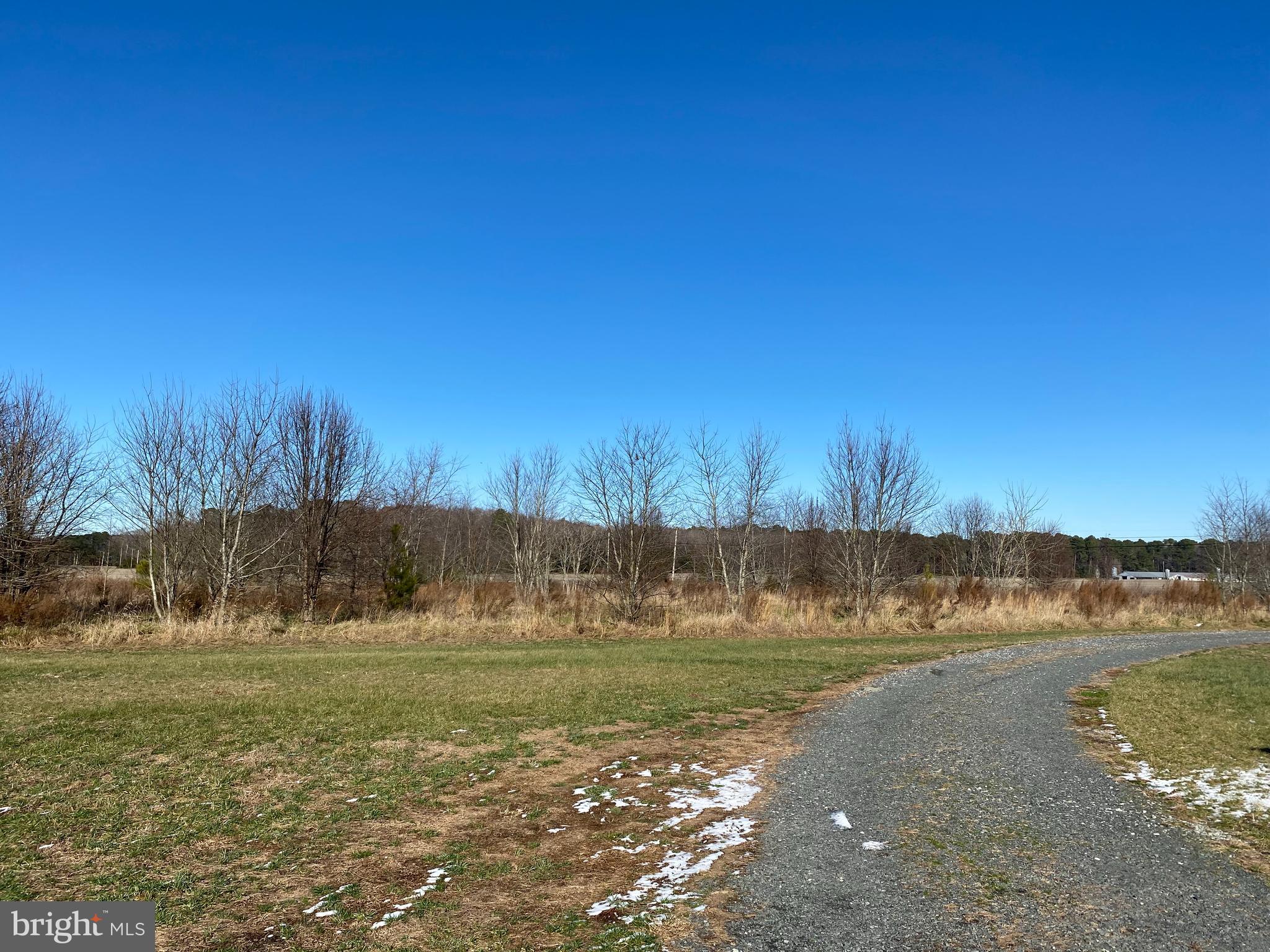 Old Fruitland Road Salisbury, MD 21804 - Photo 5 of 19