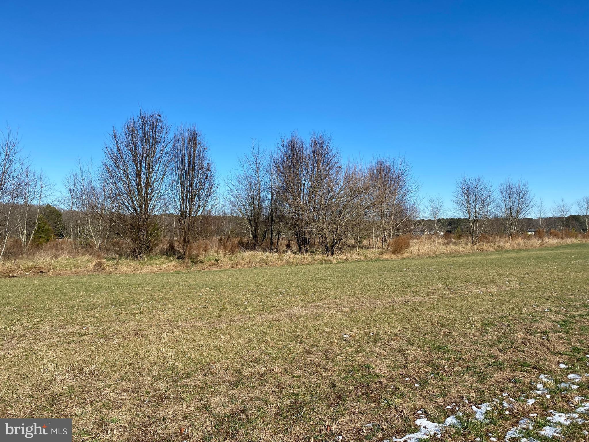 Old Fruitland Road Salisbury, MD 21804 - Photo 10 of 19