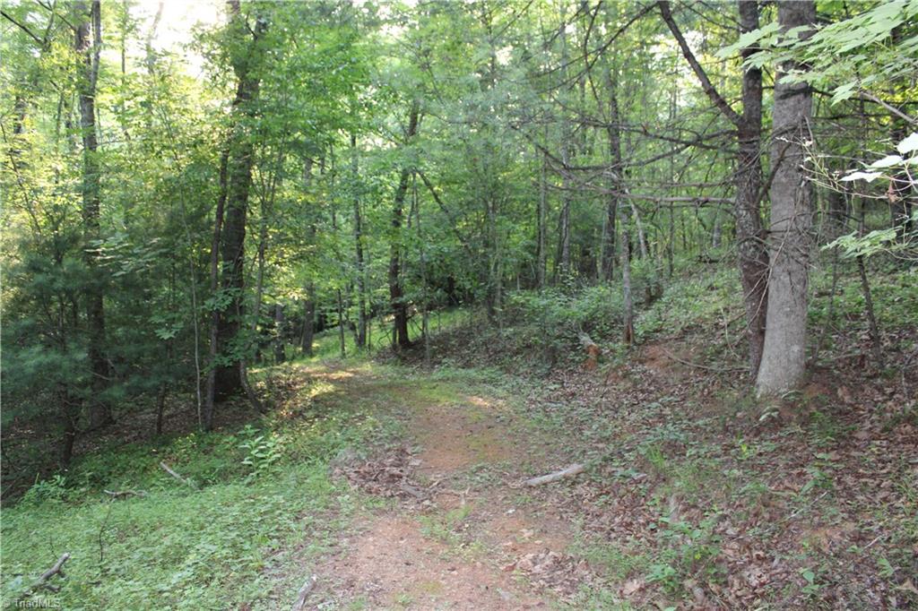 2541 Collinstown Road Westfield, NC 27053 - Photo 27 of 50