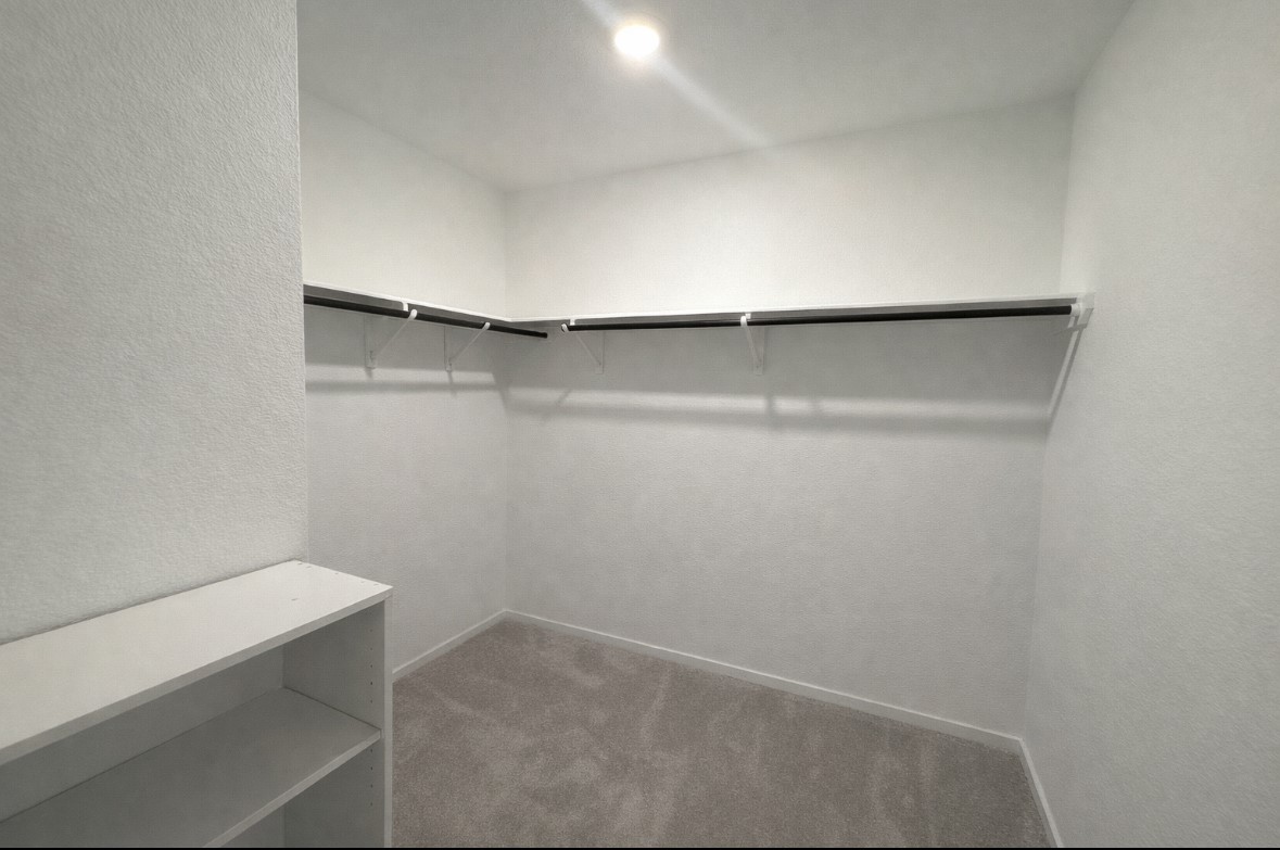 21151 Vercelli Street New Caney, TX 77357 - Photo 11 of 16 Spacious walk-in closet with neutral carpeting, built-in shelving, and ample hanging space, perfect for organized storage.