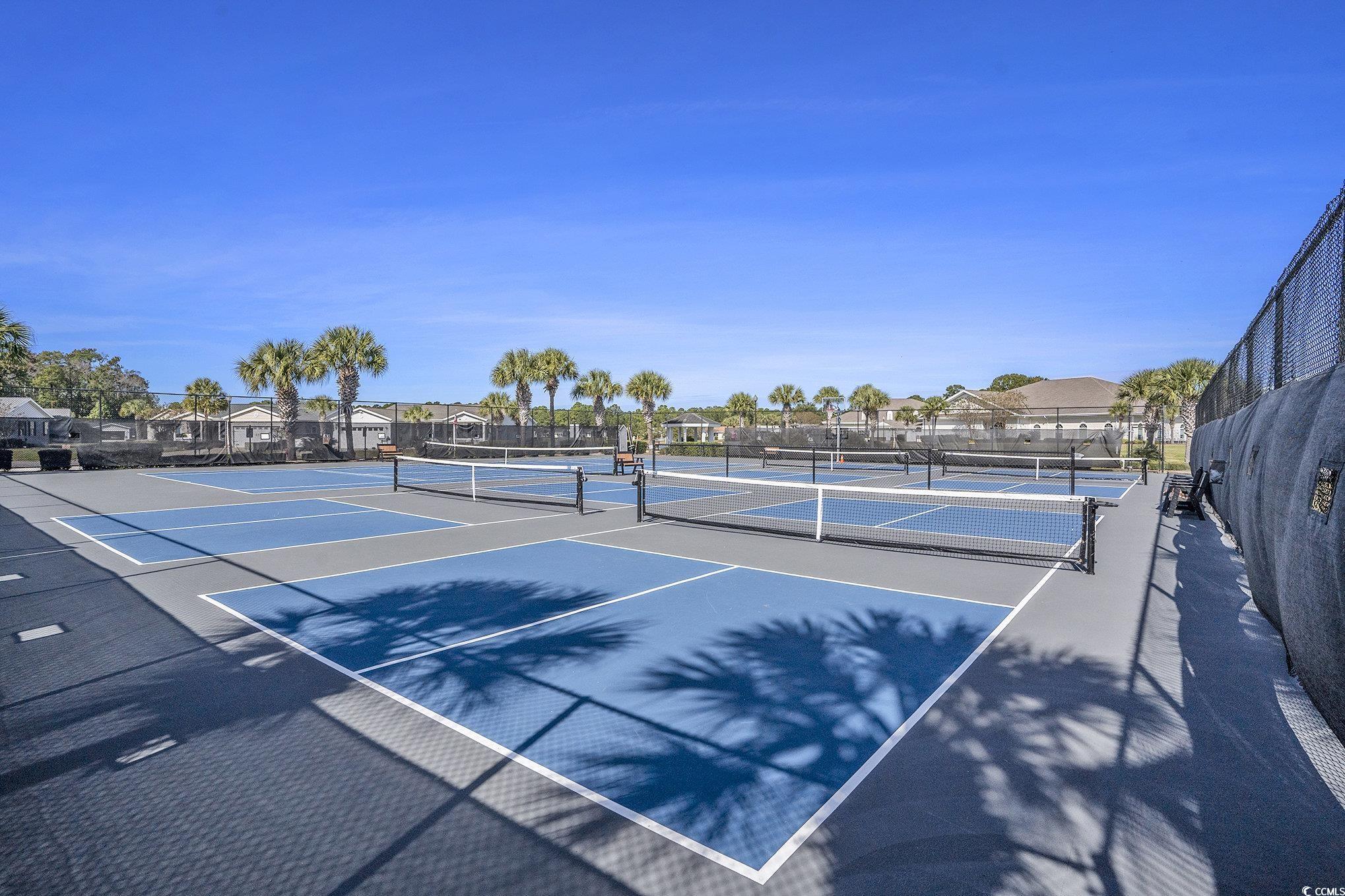 253 Wellspring Drive Conway, SC 29526 - Photo 30 of 31