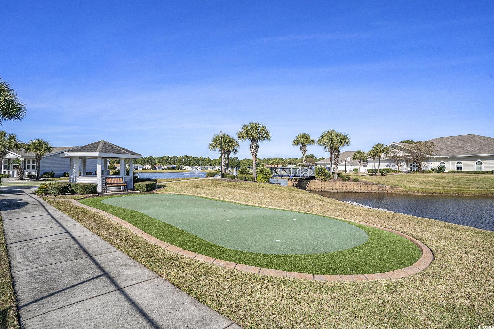 253 Wellspring Drive Conway, SC 29526 - Photo 31 of 31