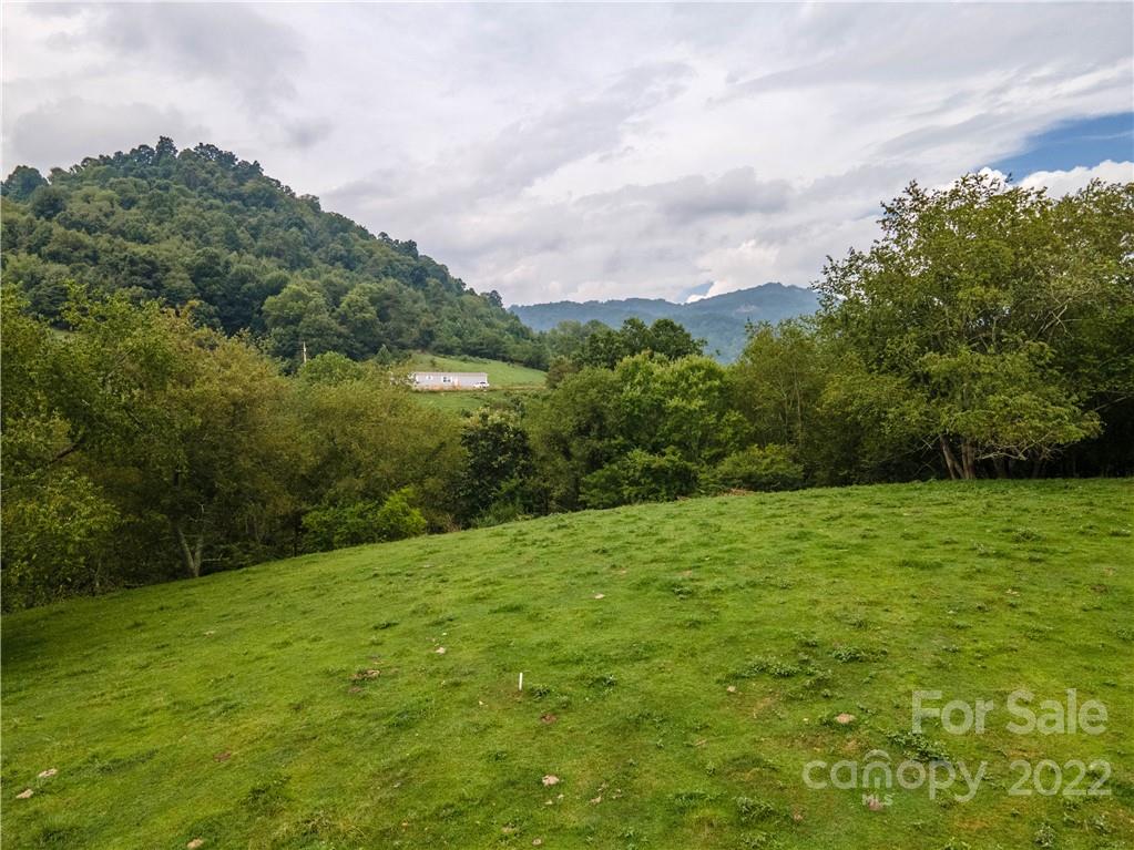 0 Crabtree Road Waynesville, NC 28785 - Photo 1 of 23 a view of a lake with a yard
