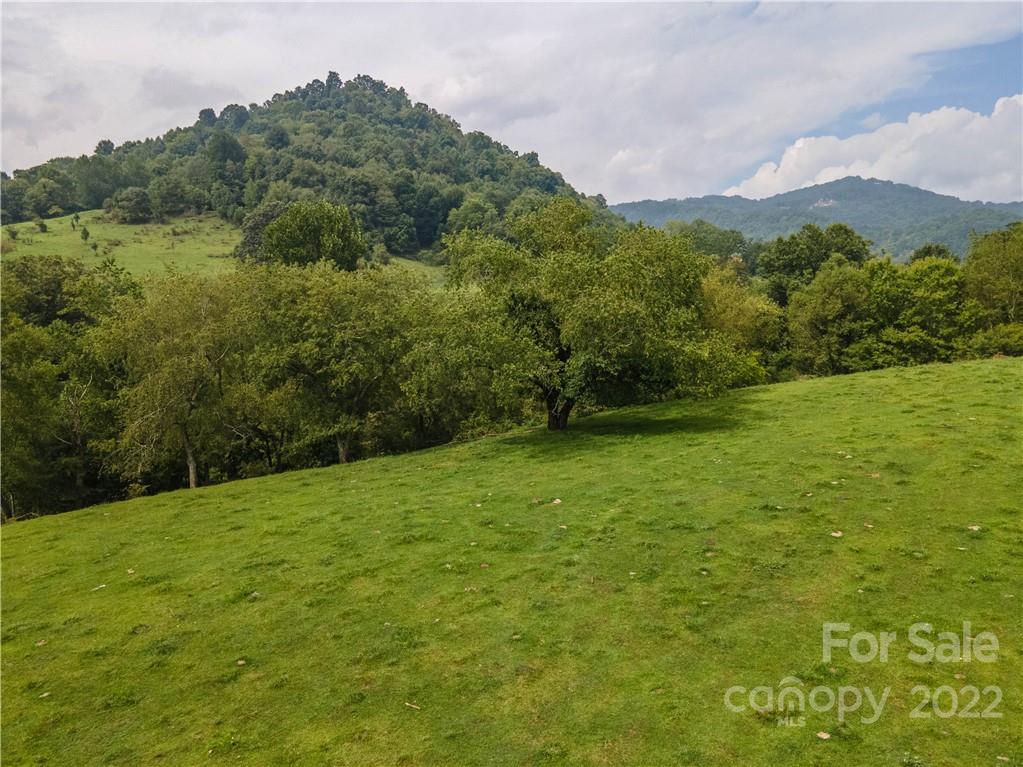 0 Crabtree Road Waynesville, NC 28785 - Photo 15 of 23 a view of a green field with mountains in the background