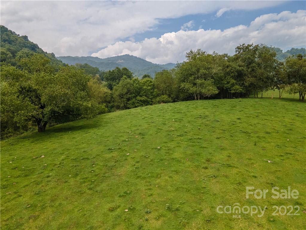 0 Crabtree Road Waynesville, NC 28785 - Photo 17 of 23 a view of a field with an trees