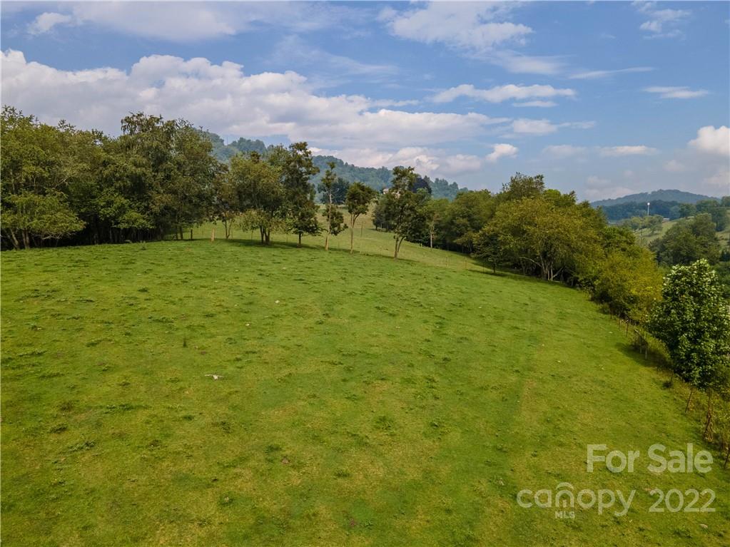 0 Crabtree Road Waynesville, NC 28785 - Photo 22 of 23 a view of a field with an trees