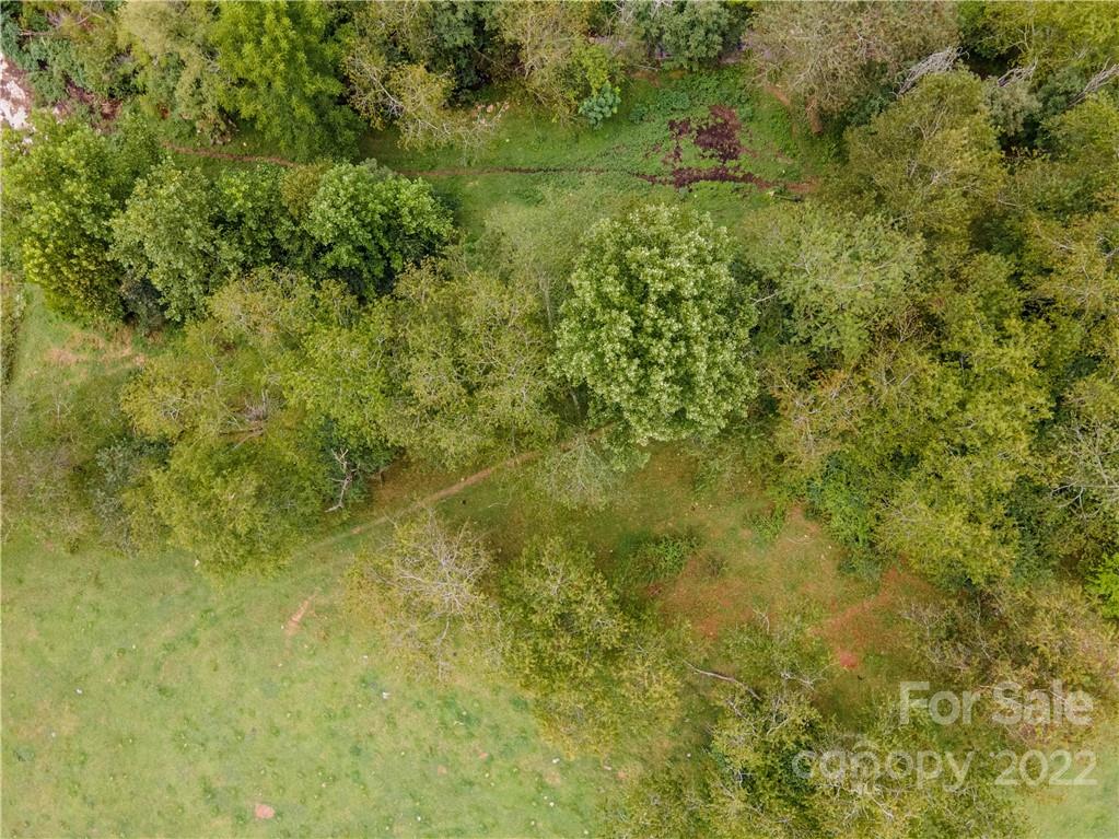 0 Crabtree Road Waynesville, NC 28785 - Photo 23 of 23 a view of a big yard with large trees