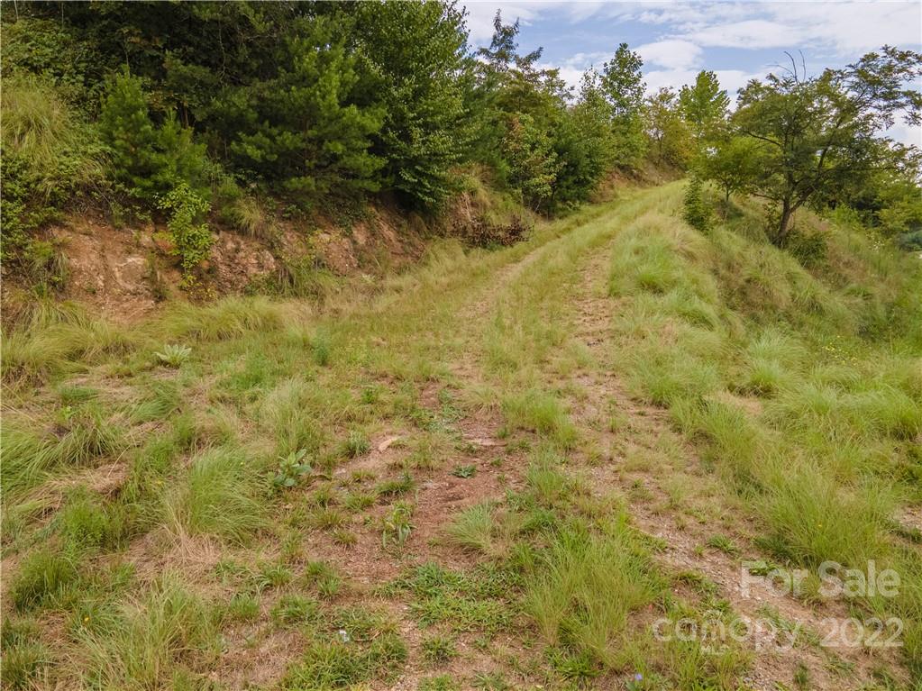 0 Crabtree Road Waynesville, NC 28785 - Photo 3 of 23 a view of a yard with trees