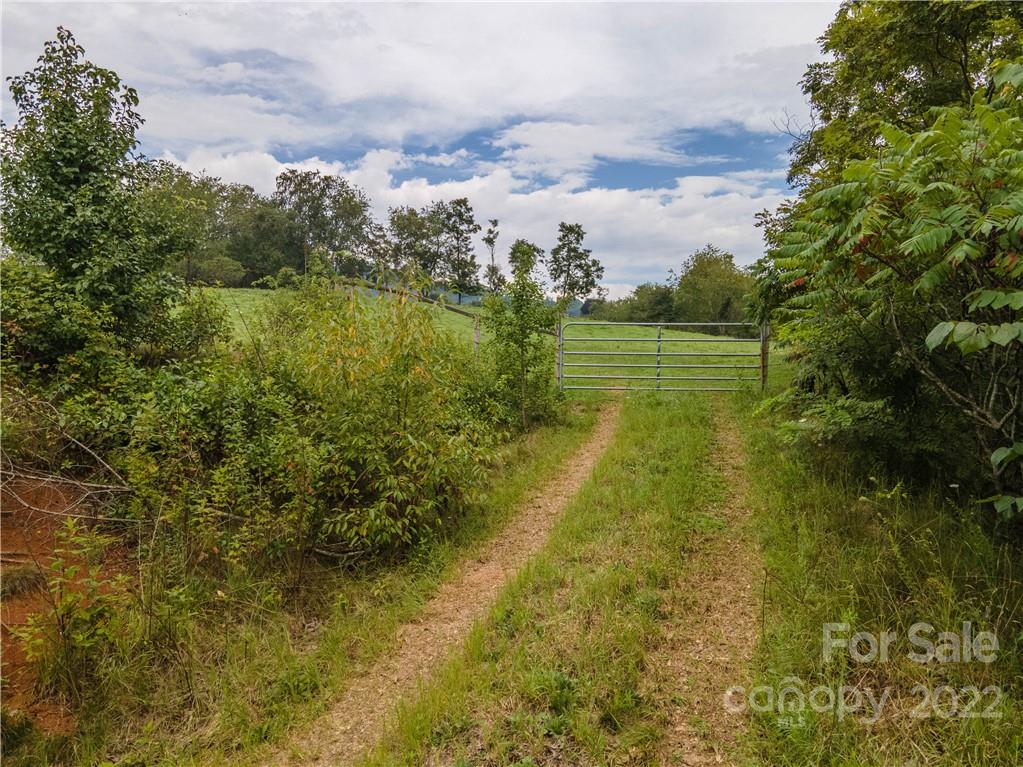 0 Crabtree Road Waynesville, NC 28785 - Photo 7 of 23 a view of a lake from a yard