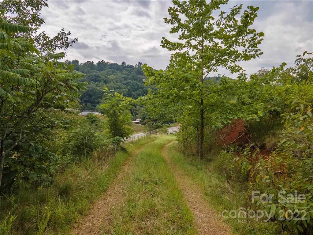 0 Crabtree Road Waynesville, NC 28785 - Photo 8 of 23 a view of a yard with plants and a bench