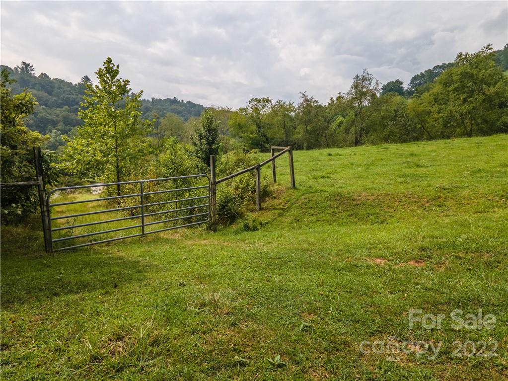 0 Crabtree Road Waynesville, NC 28785 - Photo 9 of 23 a view of a field with grass and trees