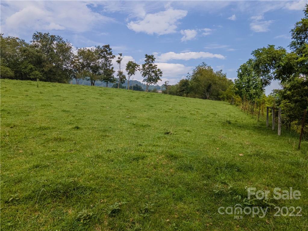 0 Crabtree Road Waynesville, NC 28785 - Photo 10 of 23 a view of a field with an trees
