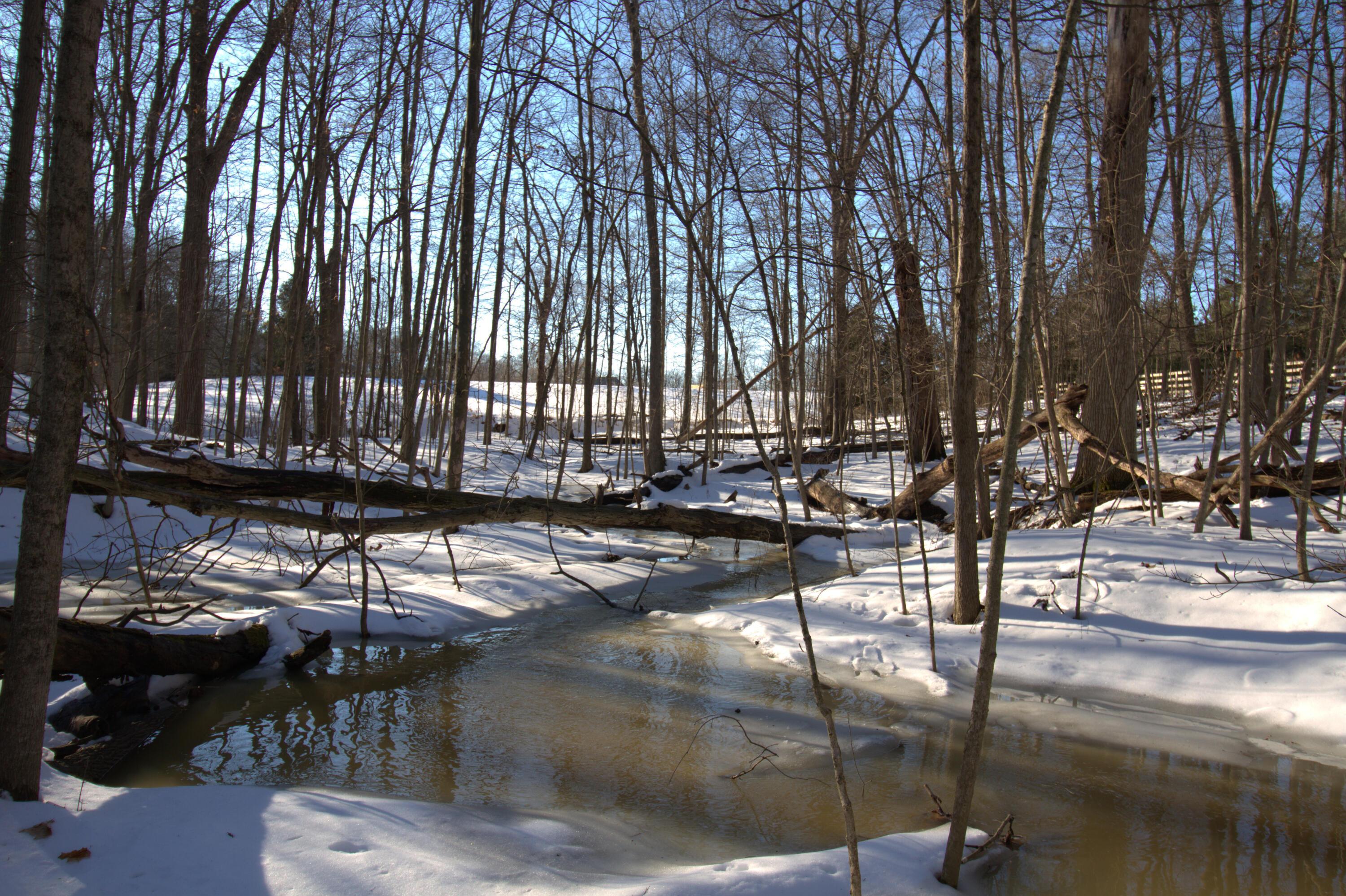 0 Wren Lane Powell, OH 43065 - Photo 1 of 1 IMG_6982 (1).CR2