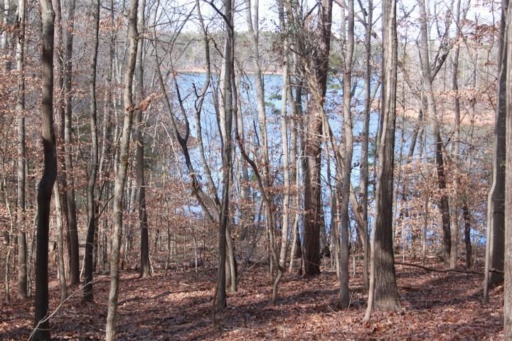 Tract G Tract G Honea Path Park Road Anderson, SC 29625 - Photo 18 of 21