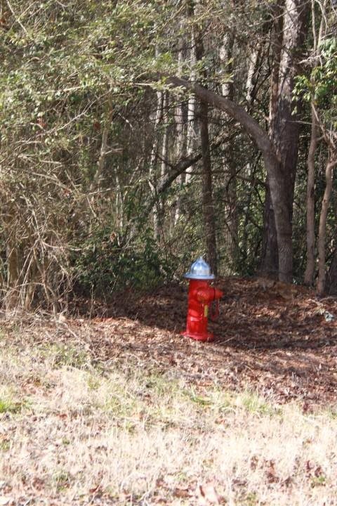 Tract G Tract G Honea Path Park Road Anderson, SC 29625 - Photo 21 of 21