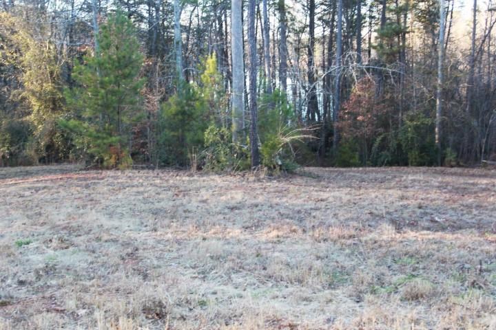 Tract G Tract G Honea Path Park Road Anderson, SC 29625 - Photo 7 of 21
