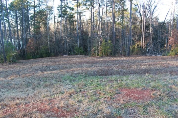 Tract G Tract G Honea Path Park Road Anderson, SC 29625 - Photo 8 of 21