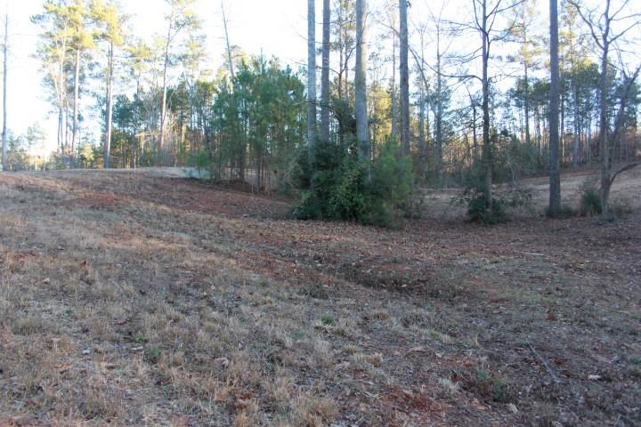 Tract G Tract G Honea Path Park Road Anderson, SC 29625 - Photo 9 of 21