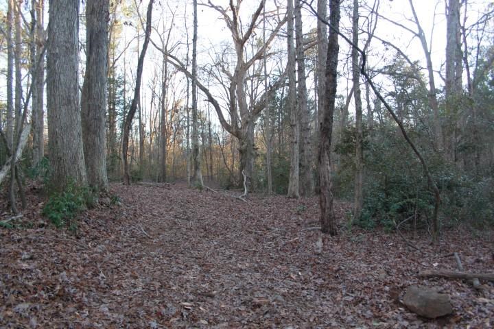 Tract G Tract G Honea Path Park Road Anderson, SC 29625 - Photo 10 of 21