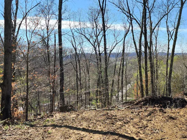 $199,000 | Lot 5 Goat Hollow Estates, Martinsville, IN 46151