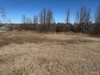 170 Bogey Arnold, MO 63010 - Photo 1 of 4