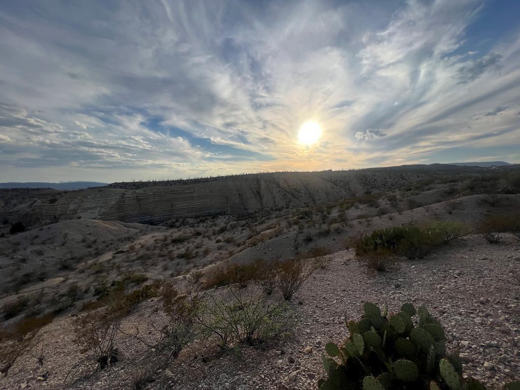 100 Needle Peak Road Terlingua, TX 79852 - Photo 14 of 20 a view of a dry yard with trees