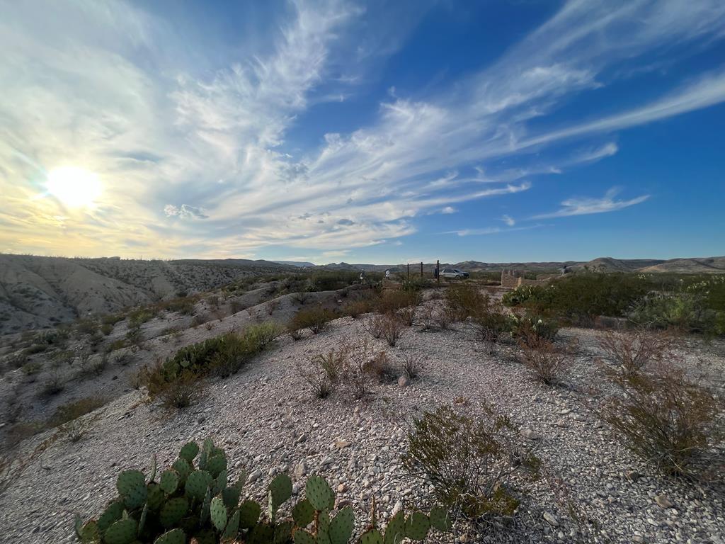 100 Needle Peak Road Terlingua, TX 79852 - Photo 15 of 20 a view of a dry yard with lots of green space
