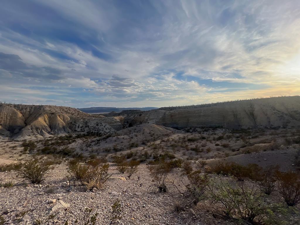 100 Needle Peak Road Terlingua, TX 79852 - Photo 17 of 20 a view of a dry yard with trees