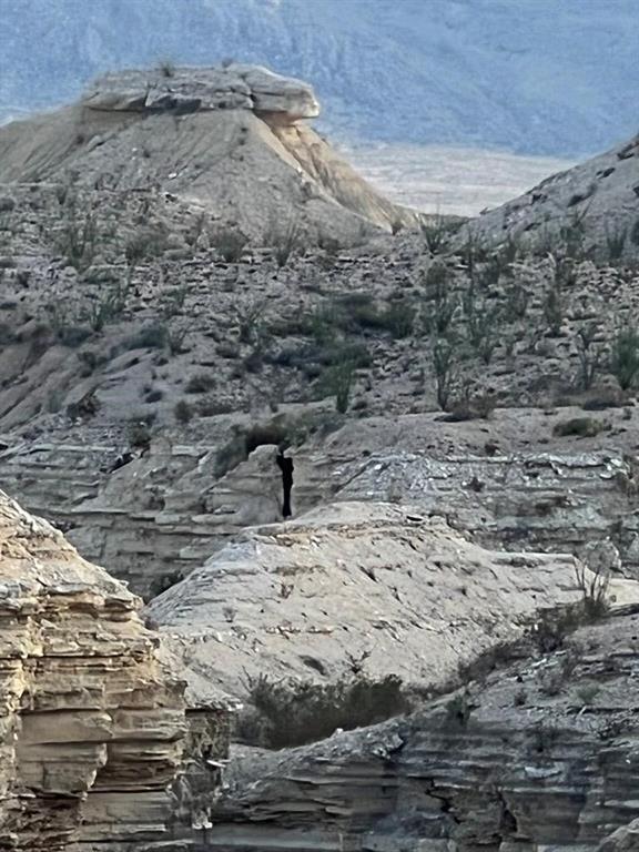 100 Needle Peak Road Terlingua, TX 79852 - Photo 18 of 20 a view of water slide