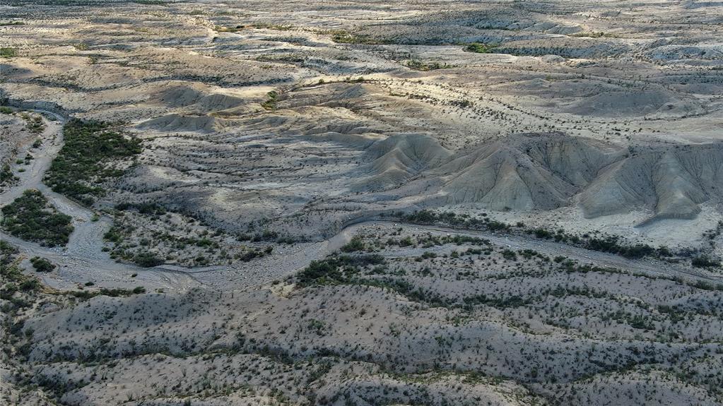 100 Needle Peak Road Terlingua, TX 79852 - Photo 4 of 20 a view of a dry yard with lots of trees